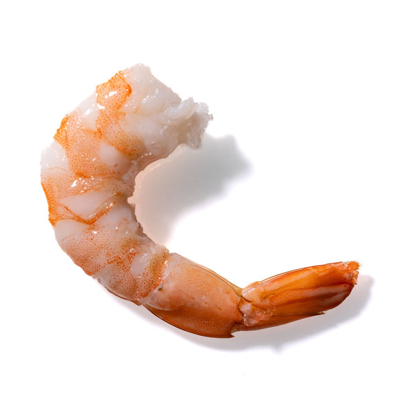 Shrimp No. 262