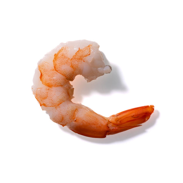 Shrimp No. 270