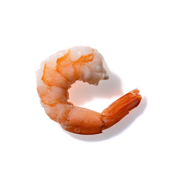 Shrimp No. 271