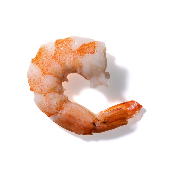 Shrimp No. 272