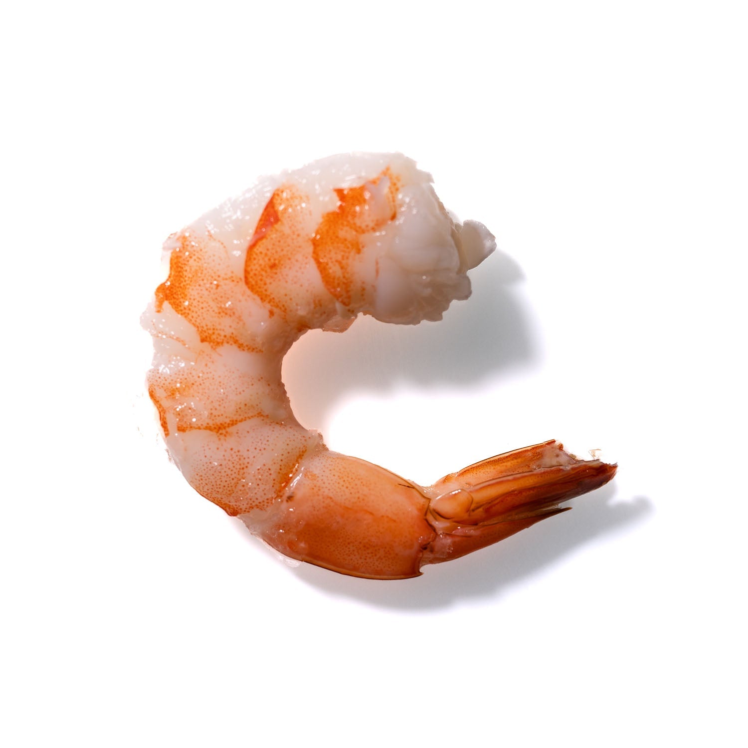 Shrimp No. 274