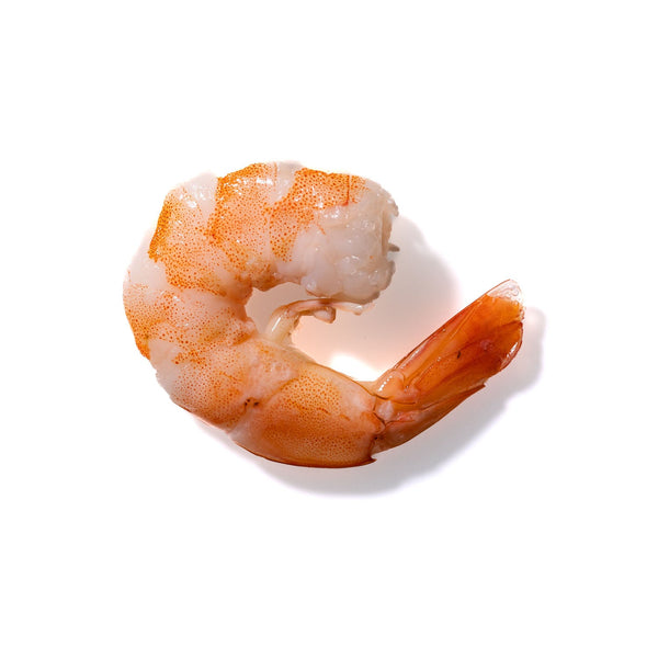 Shrimp No. 277