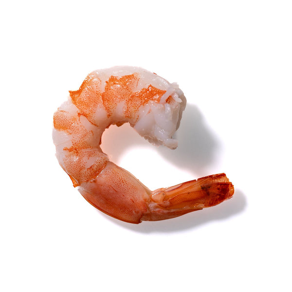 Shrimp No. 281