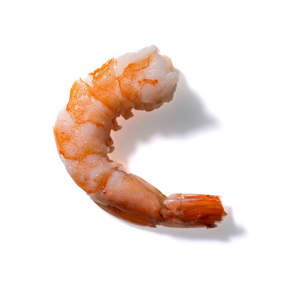 Shrimp No. 282