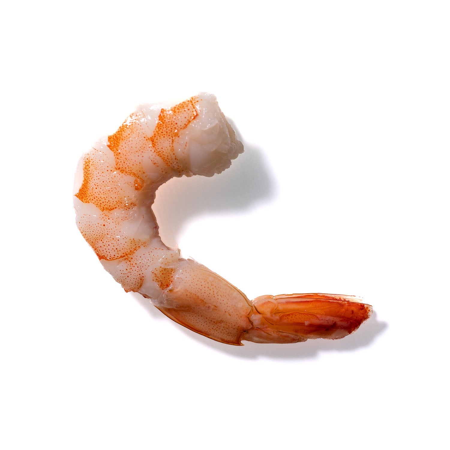 Shrimp No. 286