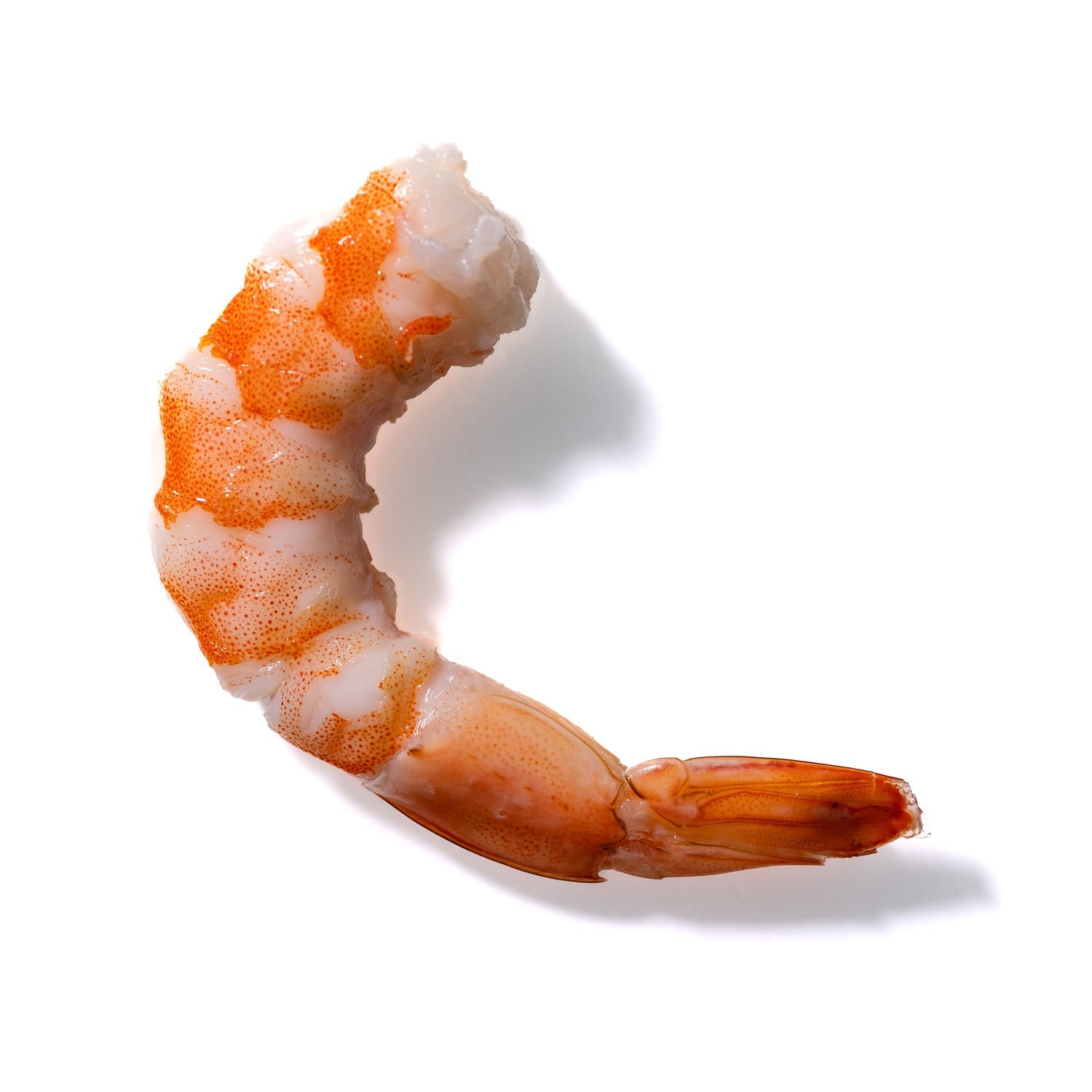 Shrimp No. 287