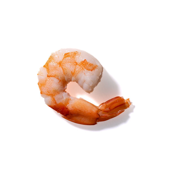 Shrimp No. 288