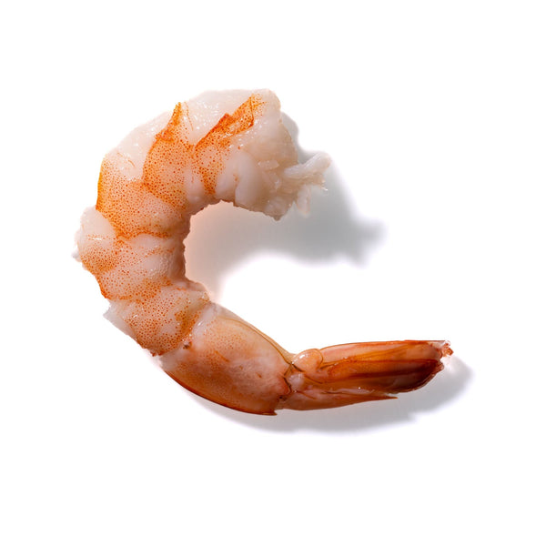 Shrimp No. 289