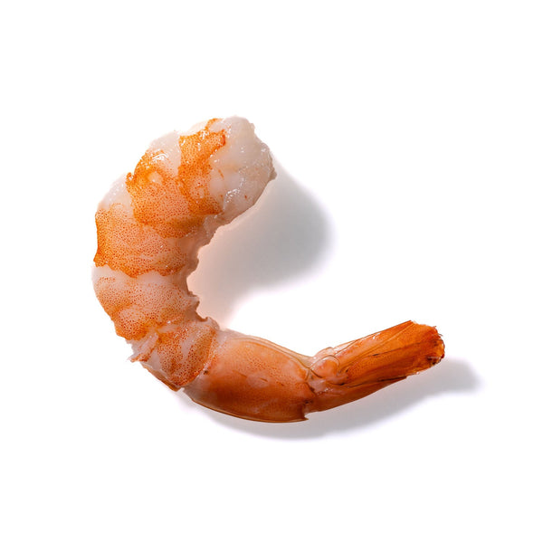 Shrimp No. 290