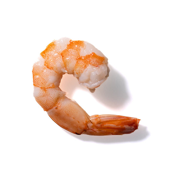 Shrimp No. 292