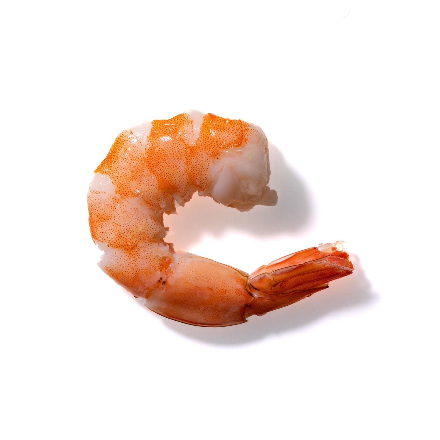 Shrimp No. 299