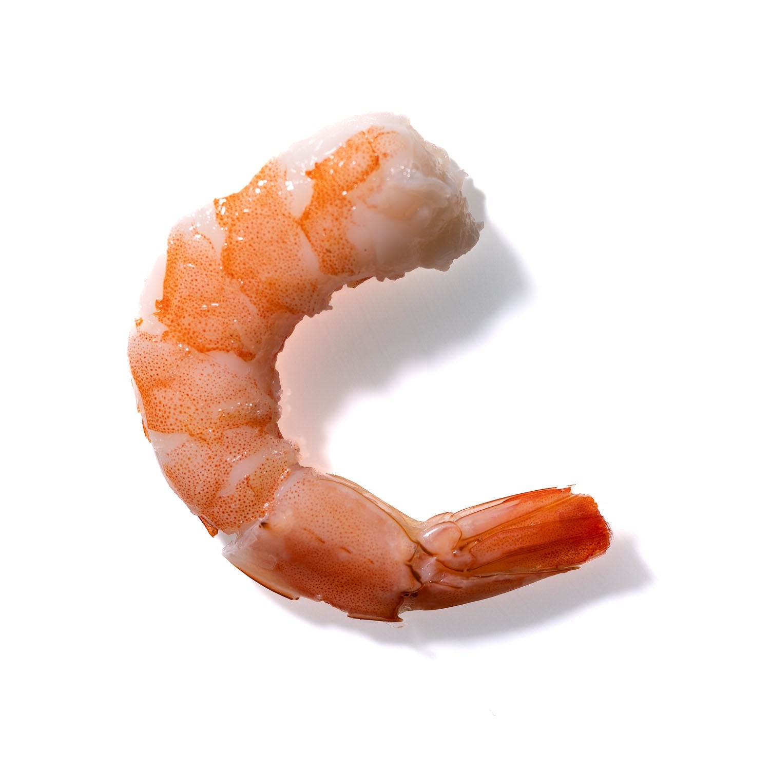 Shrimp No. 301