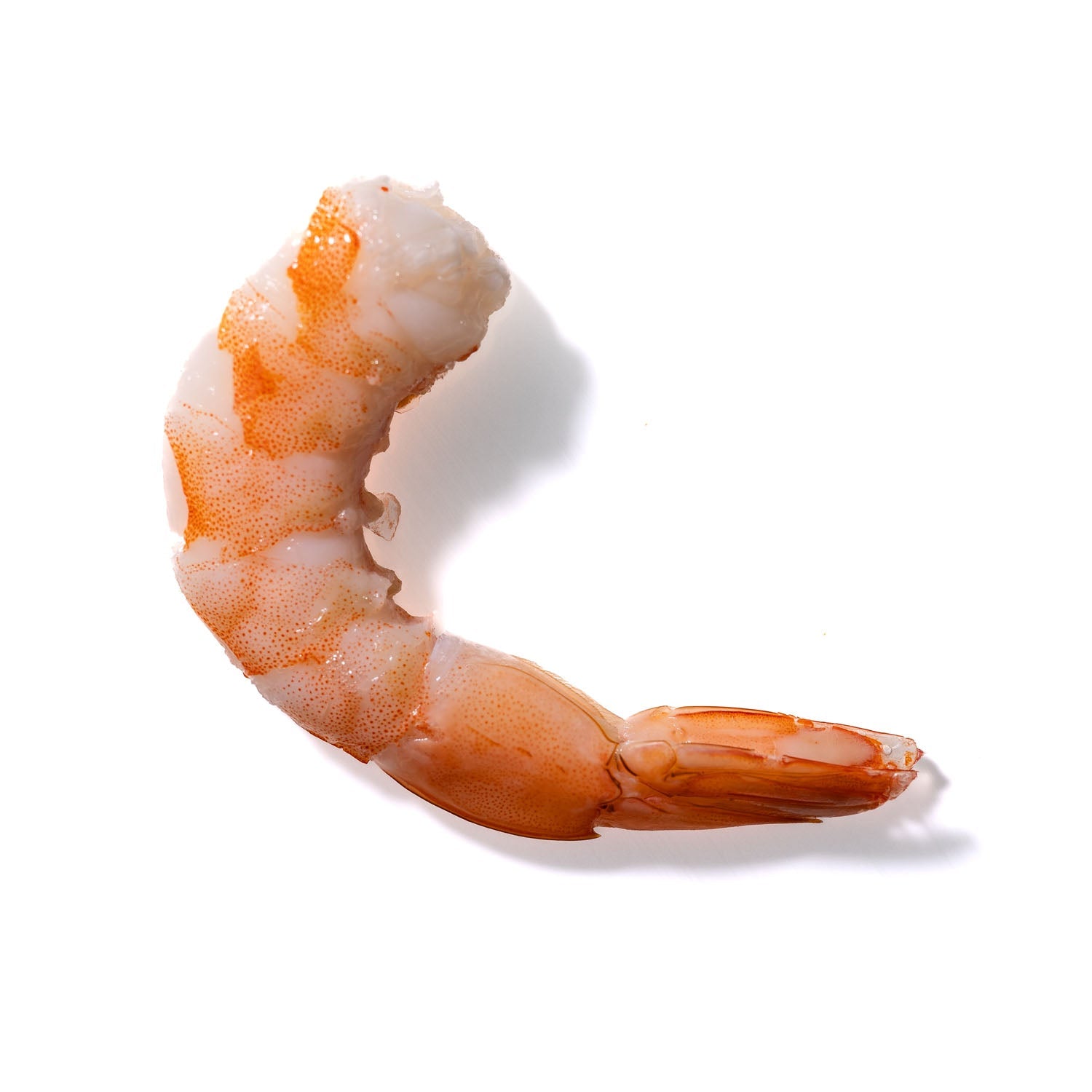 Shrimp No. 312