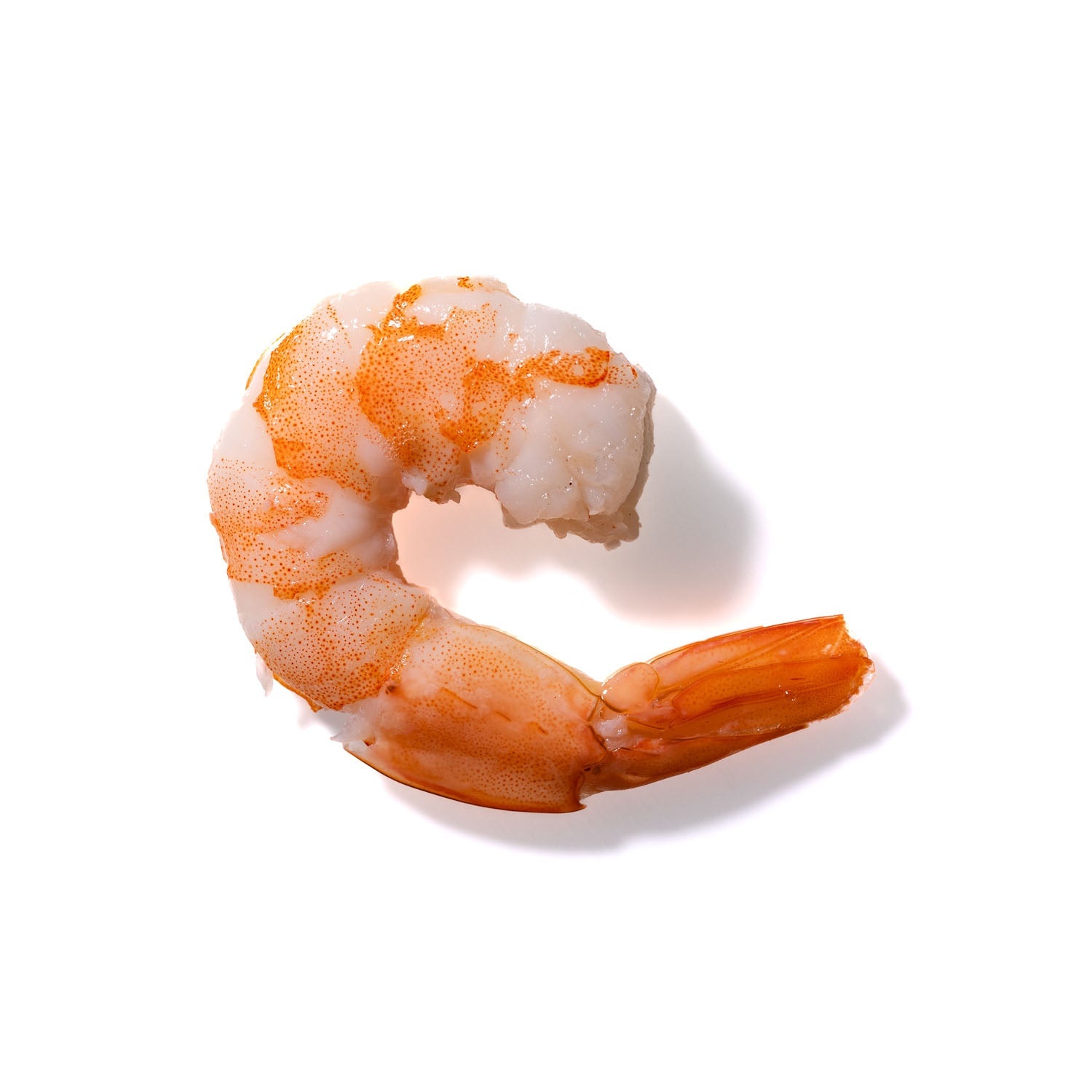 Shrimp No. 314