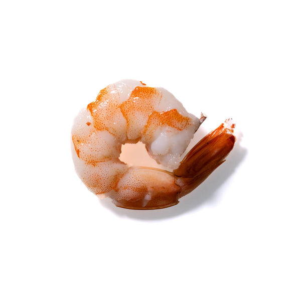 Shrimp No. 315