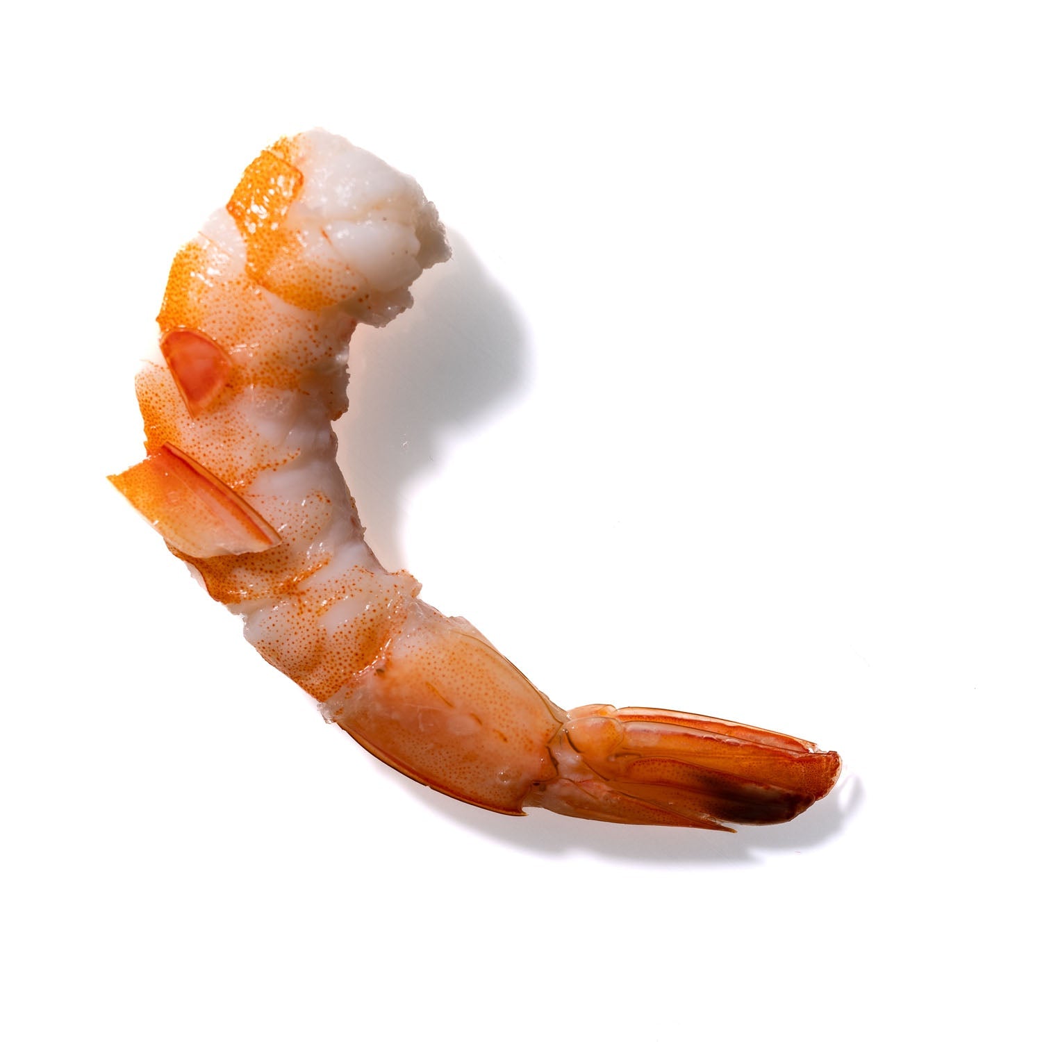 Shrimp No. 317