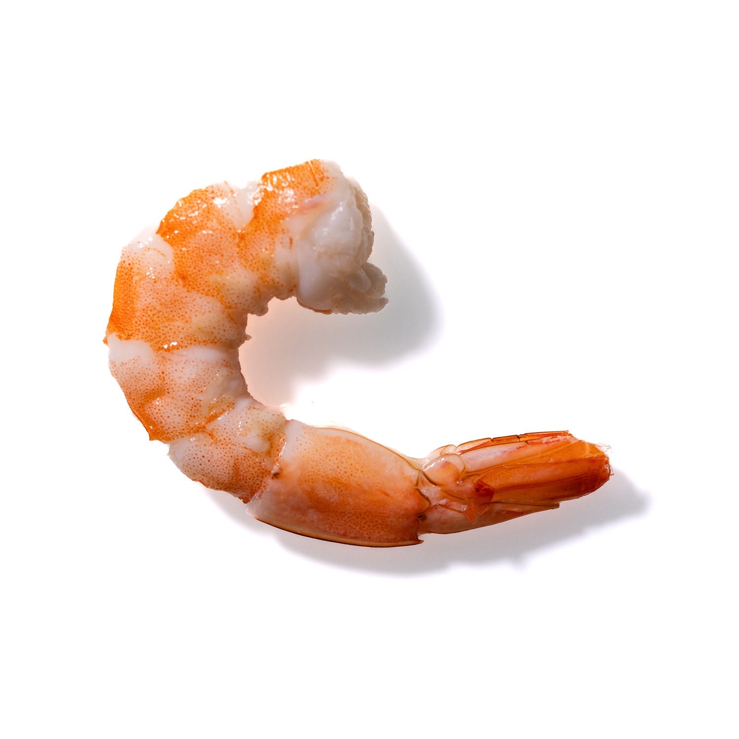 Shrimp No. 318