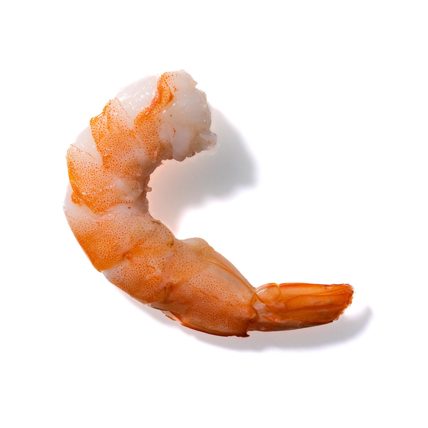 Shrimp No. 320