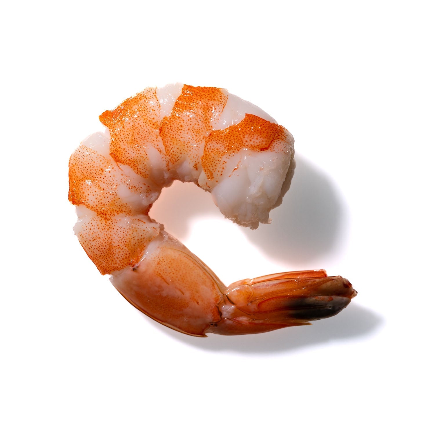 Shrimp No. 326