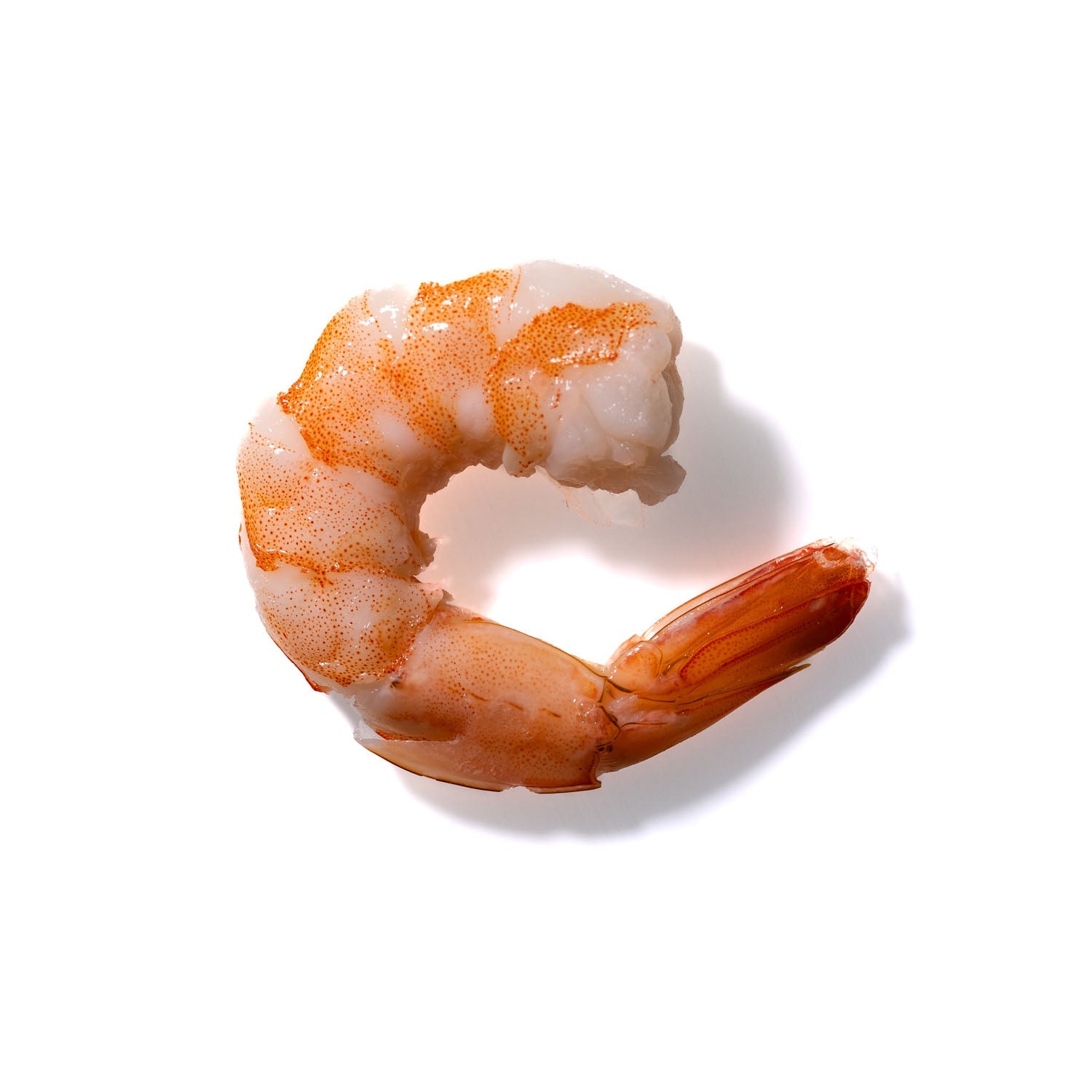 Shrimp No. 327