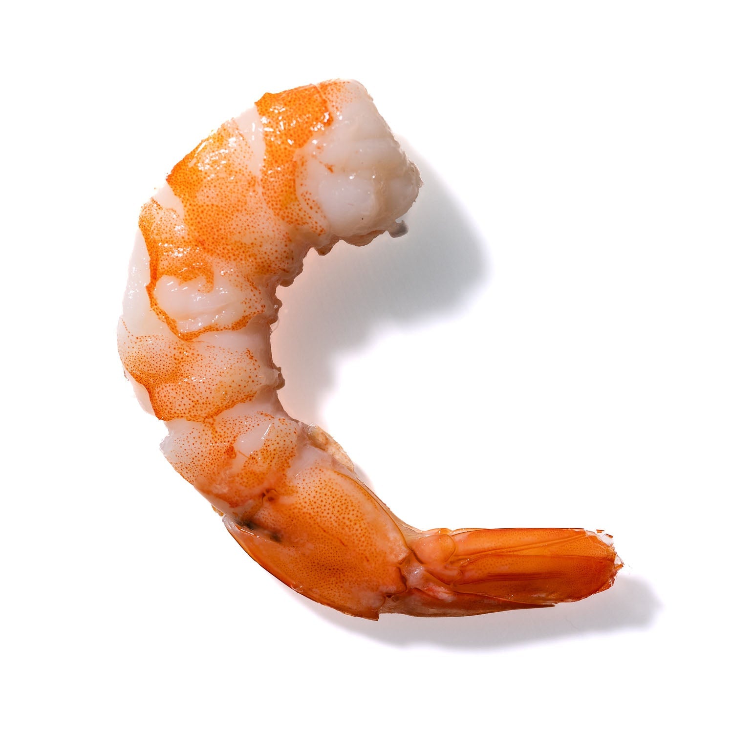 Shrimp No. 330