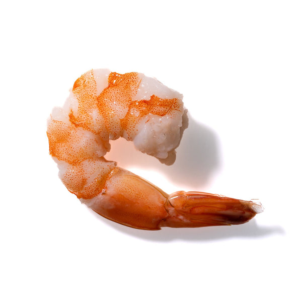 Shrimp No. 332