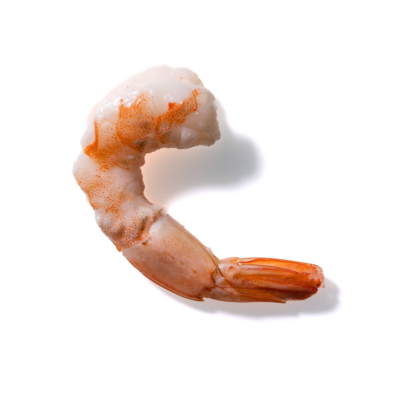 Shrimp No. 334