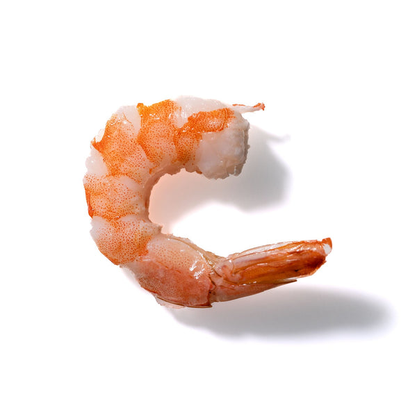 Shrimp No. 335