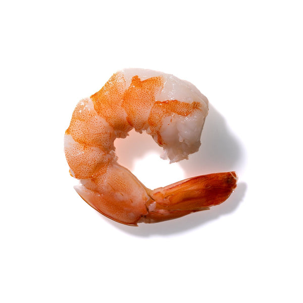 Shrimp No. 336