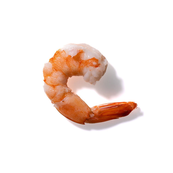 Shrimp No. 338