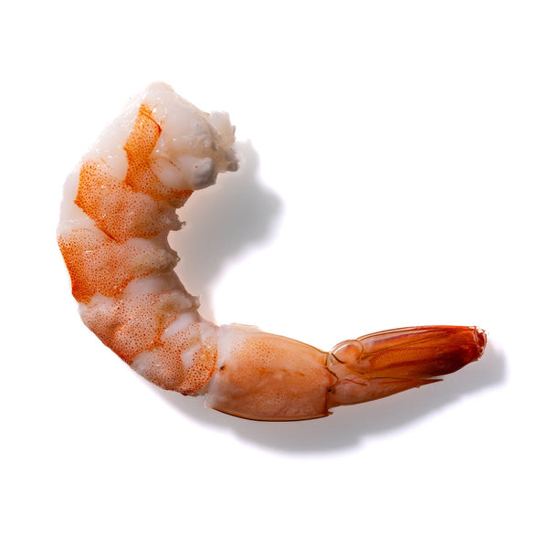 Shrimp No. 342