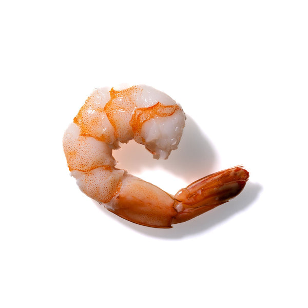 Shrimp No. 343