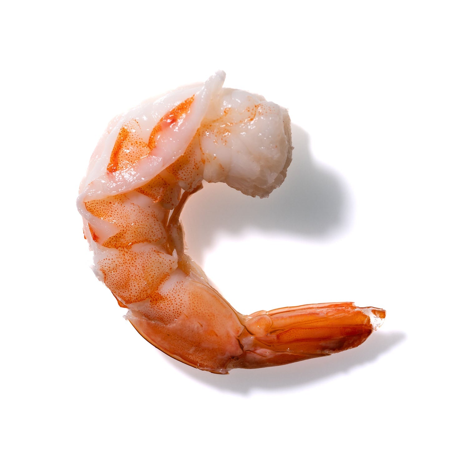 Shrimp No. 345