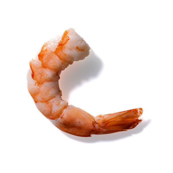 Shrimp No. 346