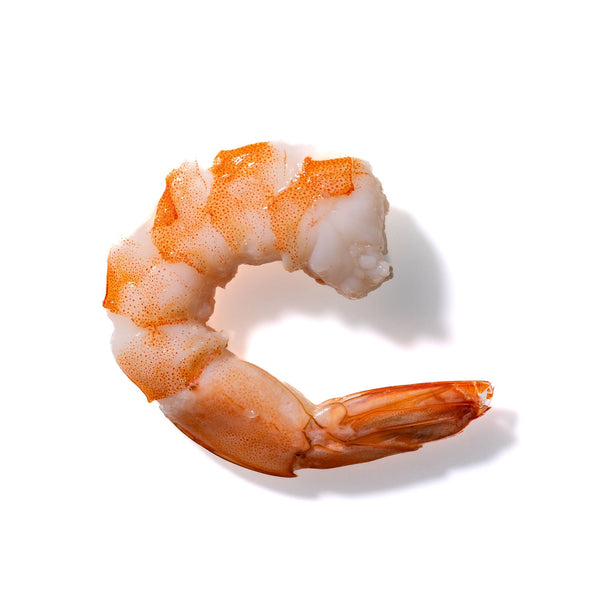 Shrimp No. 348