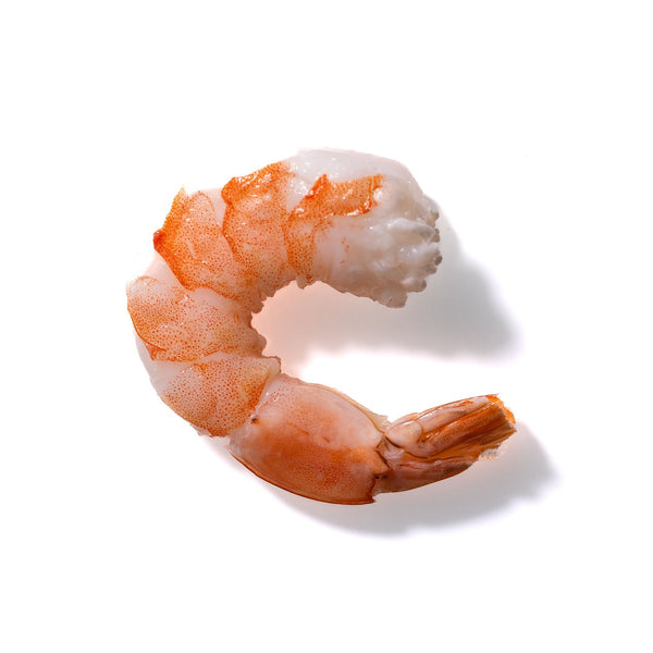 Shrimp No. 350