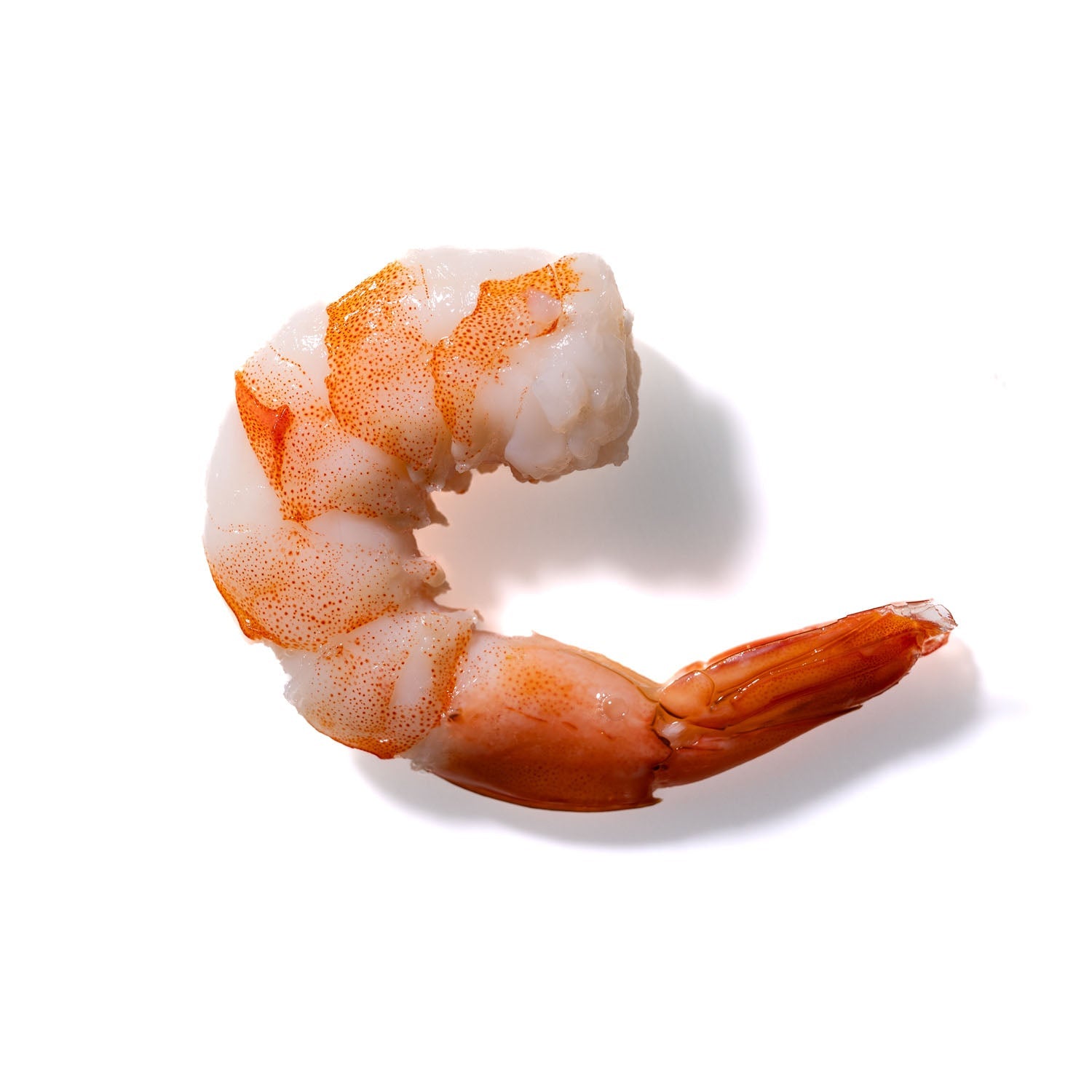 Shrimp No. 403