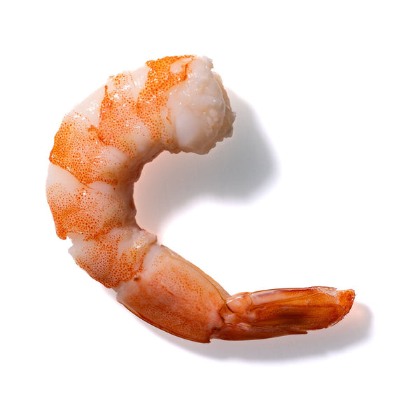 Shrimp No. 406