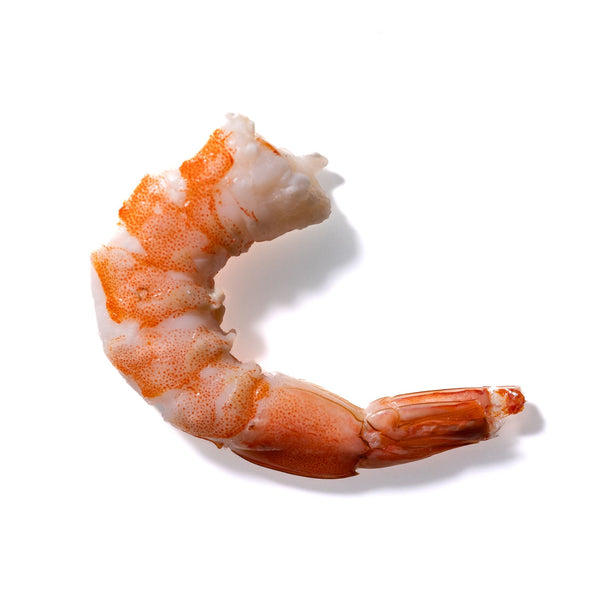 Shrimp No. 408