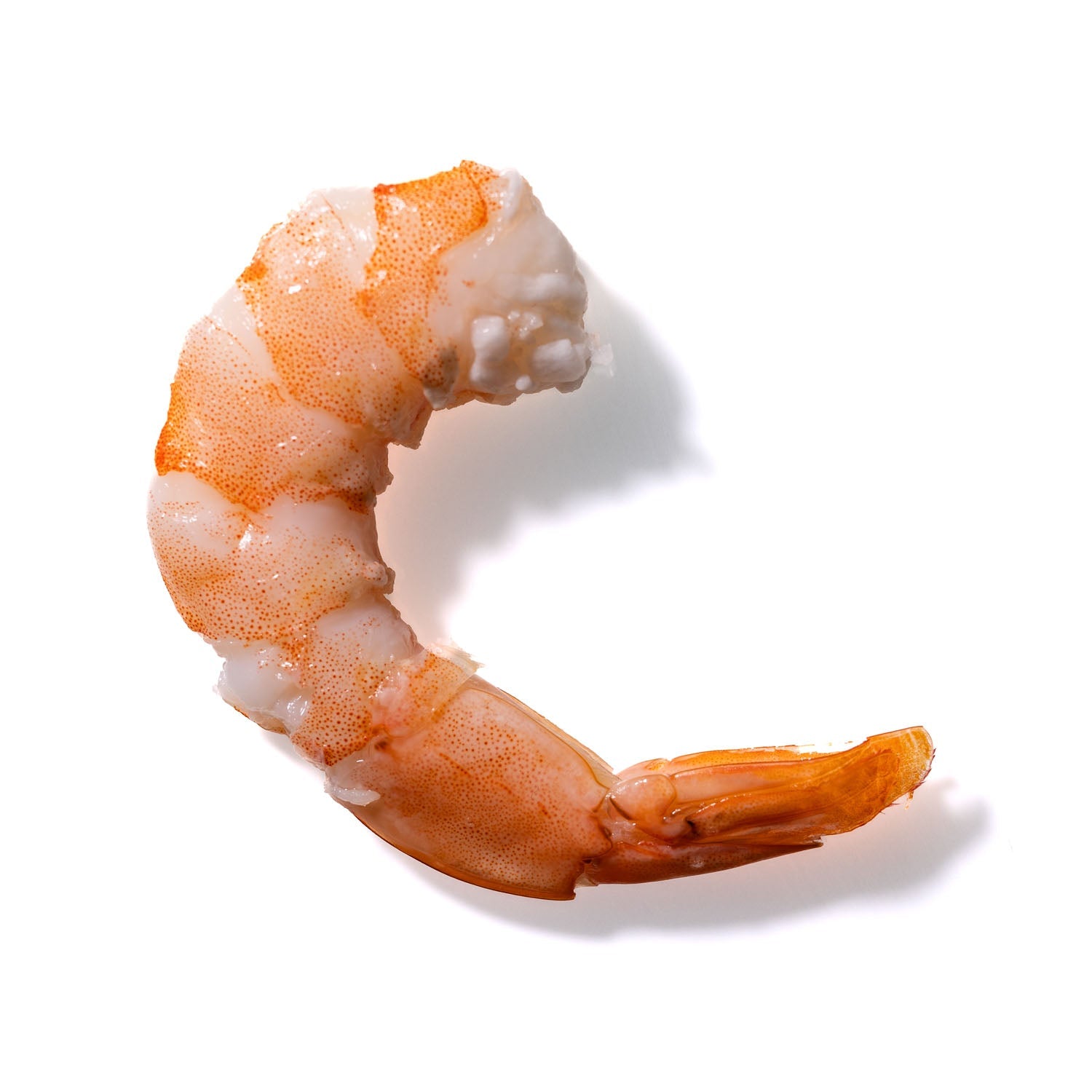 Shrimp No. 409