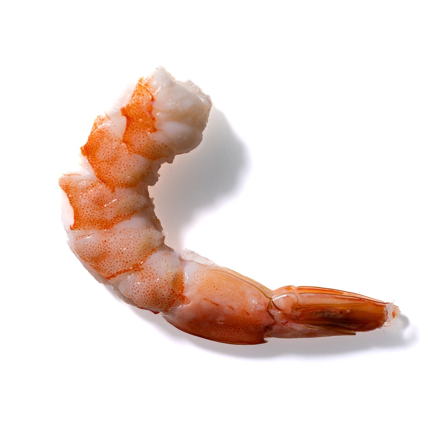 Shrimp No. 410