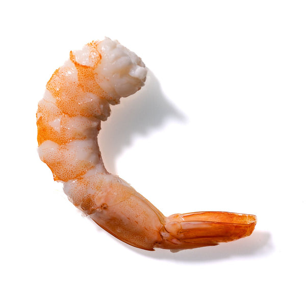 Shrimp No. 416