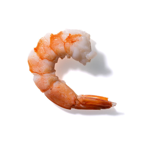 Shrimp No. 418