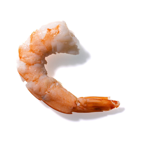 Shrimp No. 422