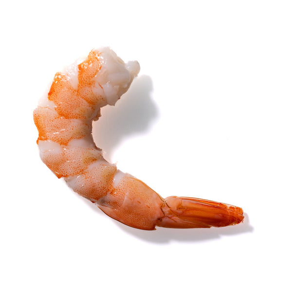 Shrimp No. 423