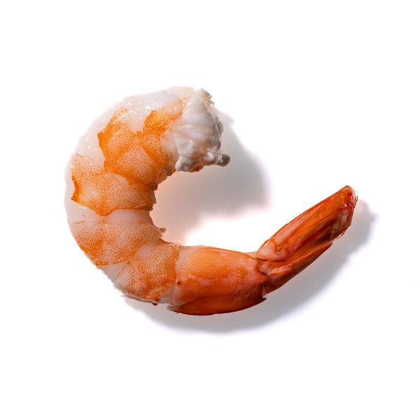 Shrimp No. 434