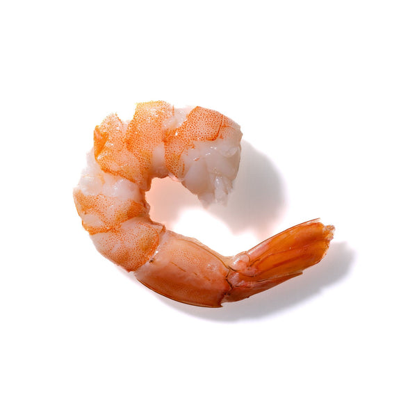 Shrimp No. 438