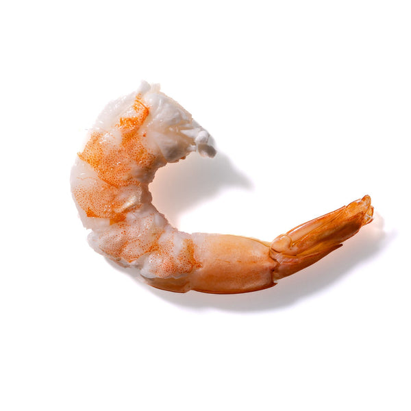 Shrimp No. 442