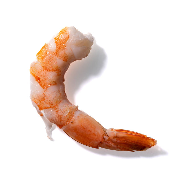 Shrimp No. 444