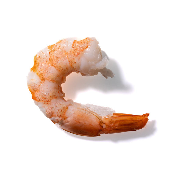 Shrimp No. 447